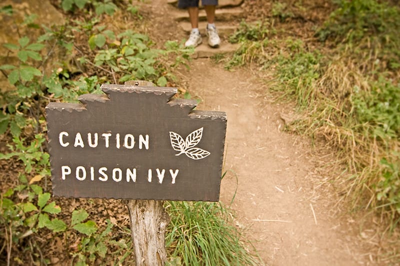 a trailhead reads 'caution poison ivy'